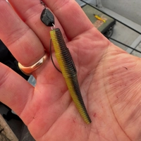 Westin Super Finesse Slim Ned Worm Sets 5.5cm - 1.5g